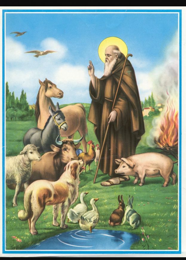 S. Antonio Abate: benedizione del sale e degli animali nelle parrocchie della Diocesi
