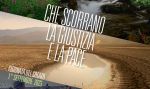 Giornata per la Cura del Creato: il messaggio di Papa Francesco